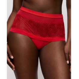 Shorty Sophora By Prima Donna